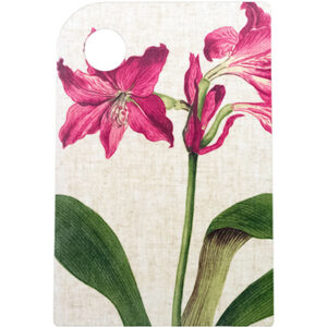 Amaryllis