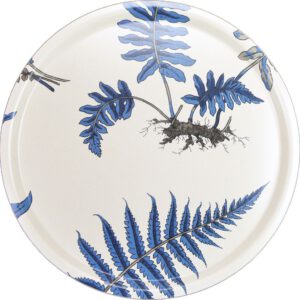 Tray Ferns Blue